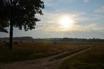 Osjaków - Miedźno