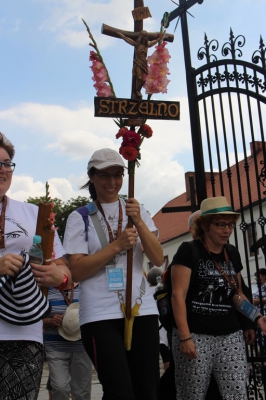 Strzelno - Wilczyn-68