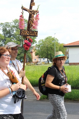 Strzelno - Wilczyn-115