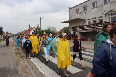 Strzelno - Wilczyn-144