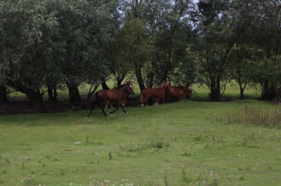 Dzień 3-37