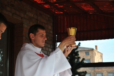 Sekcje 2011