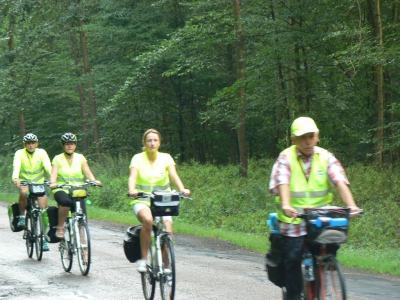 Dzień 1-36